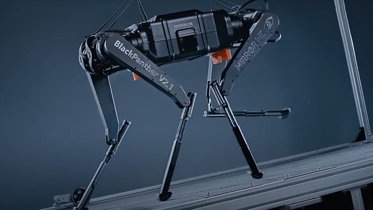 הפנתר השחור 2.0