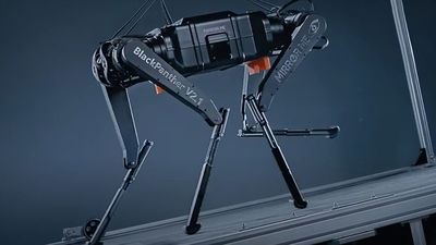 הפנתר השחור 2.0