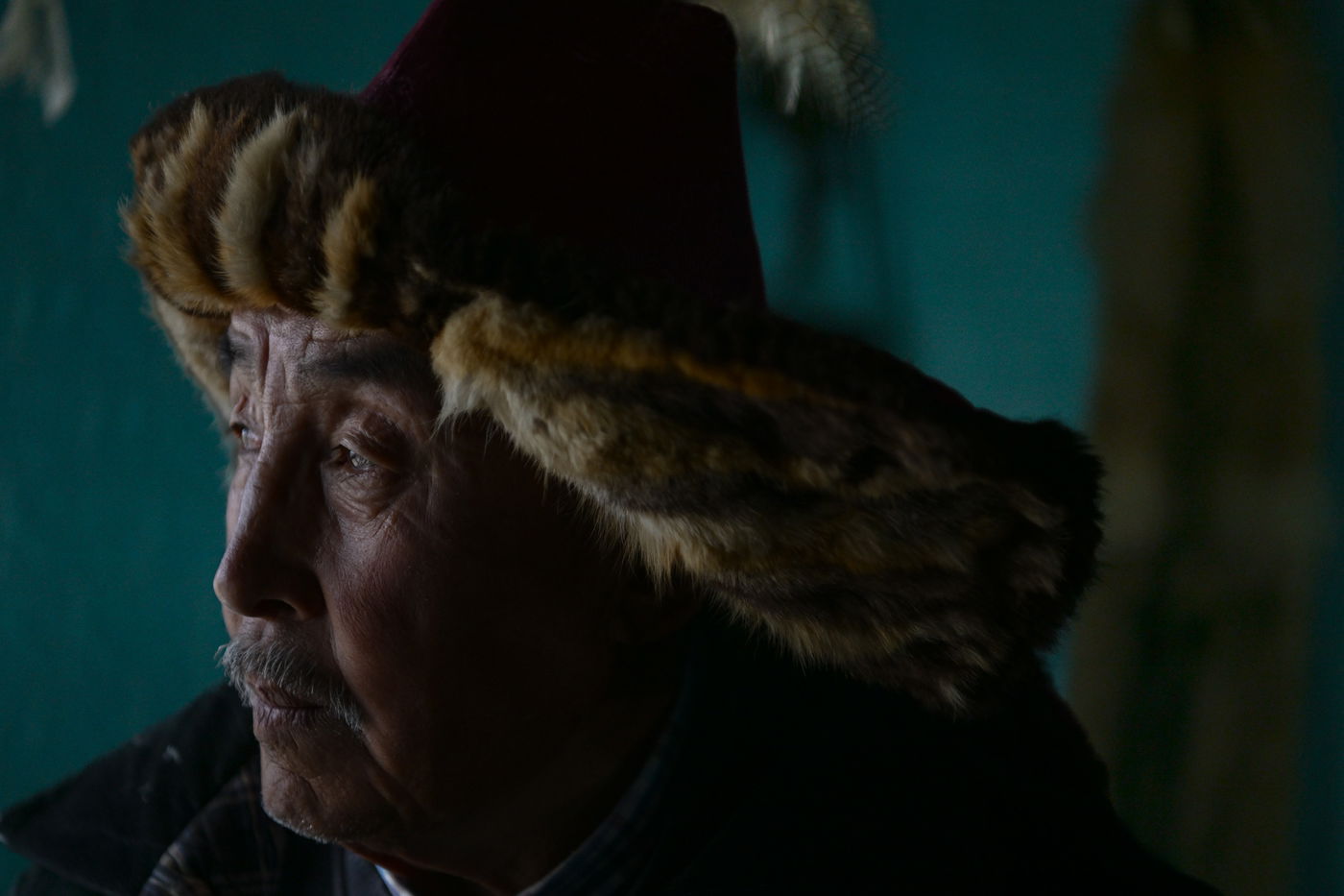 מסע נדיר למונגוליה