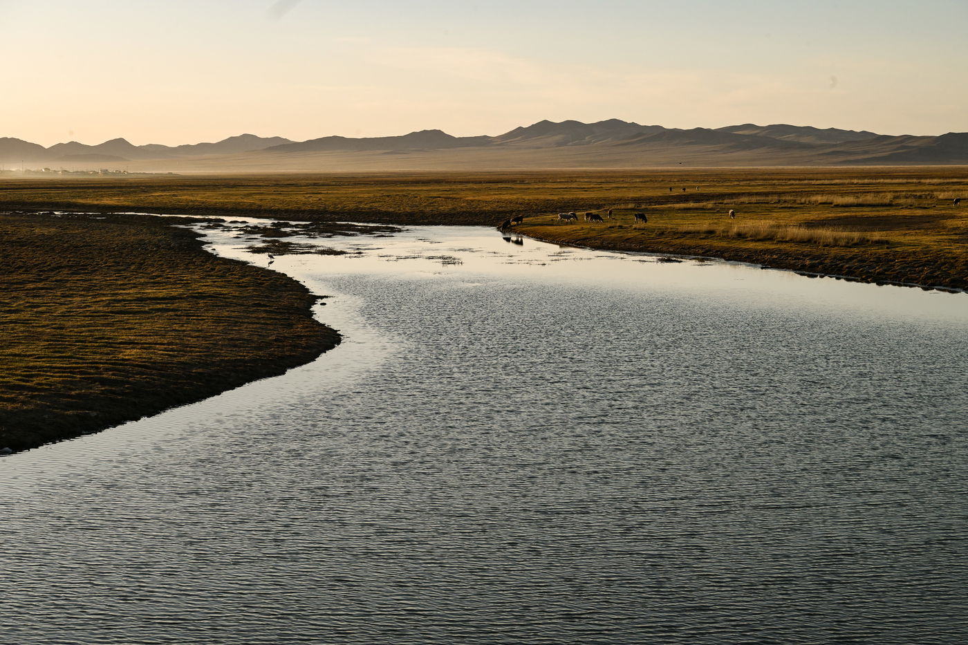 מסע נדיר למונגוליה
