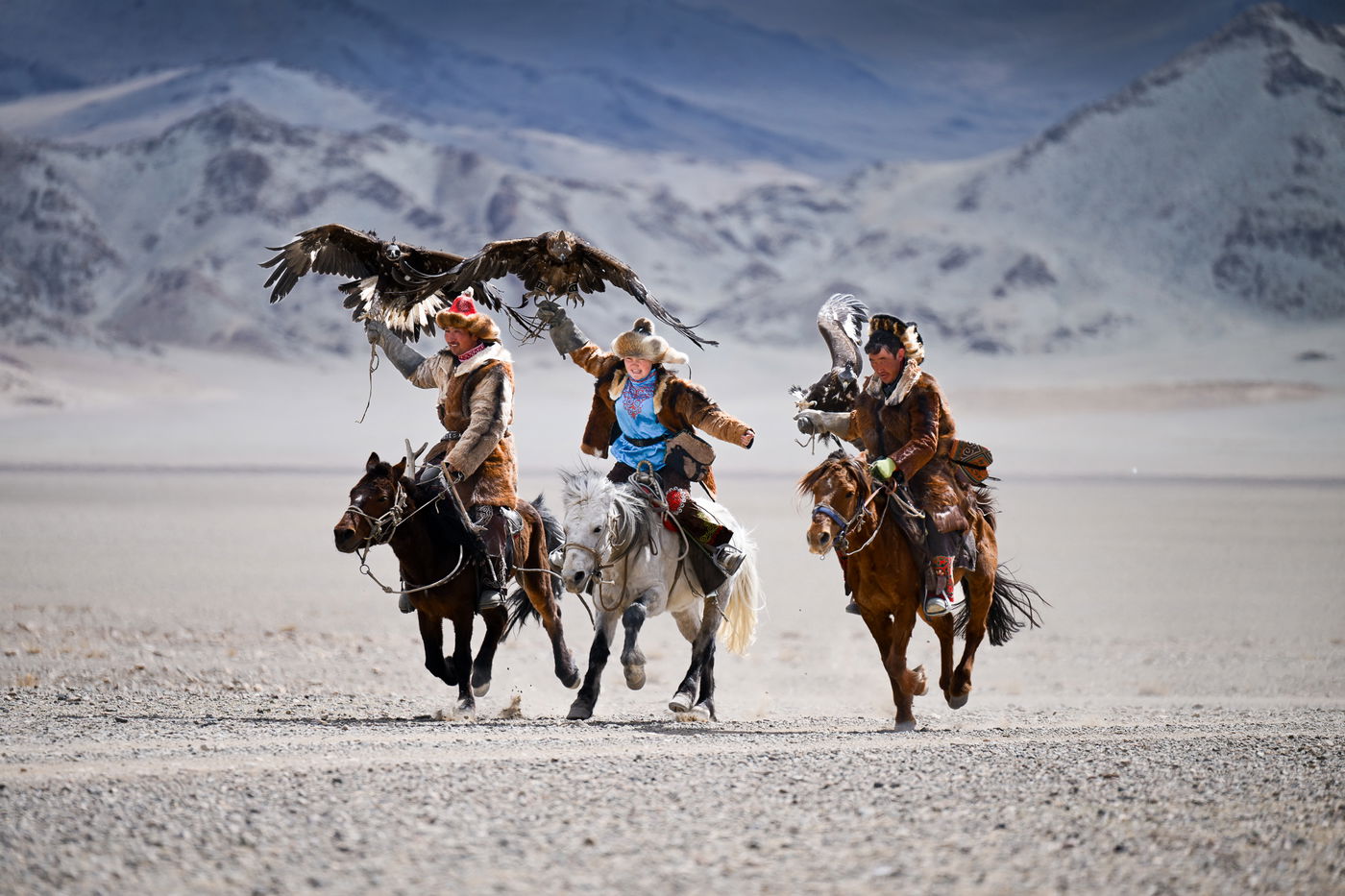 מסע נדיר למונגוליה