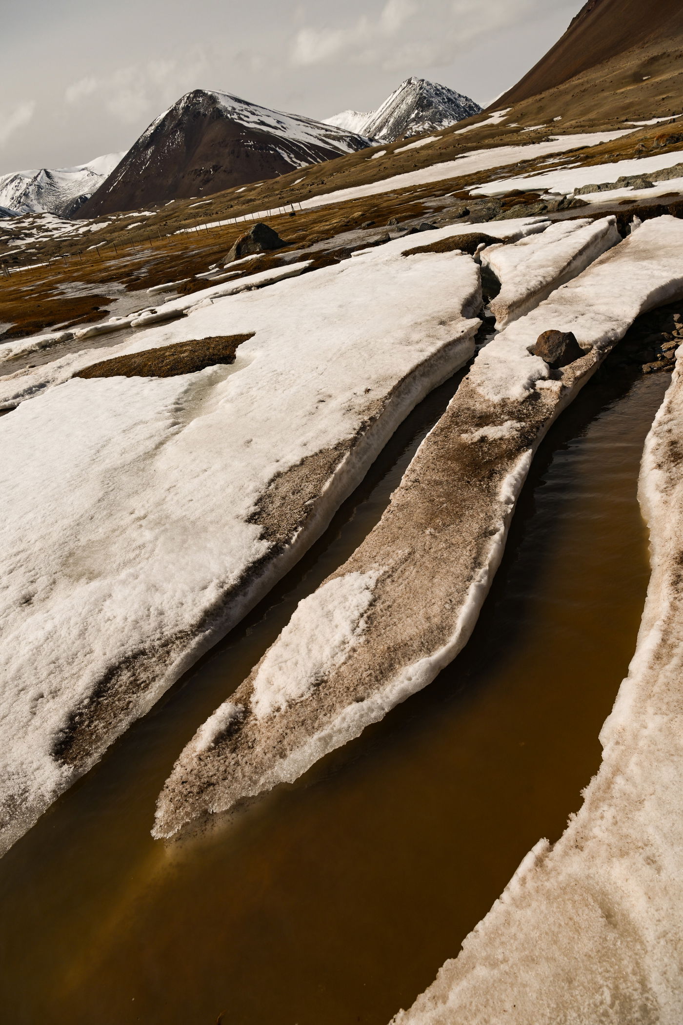 מסע נדיר למונגוליה