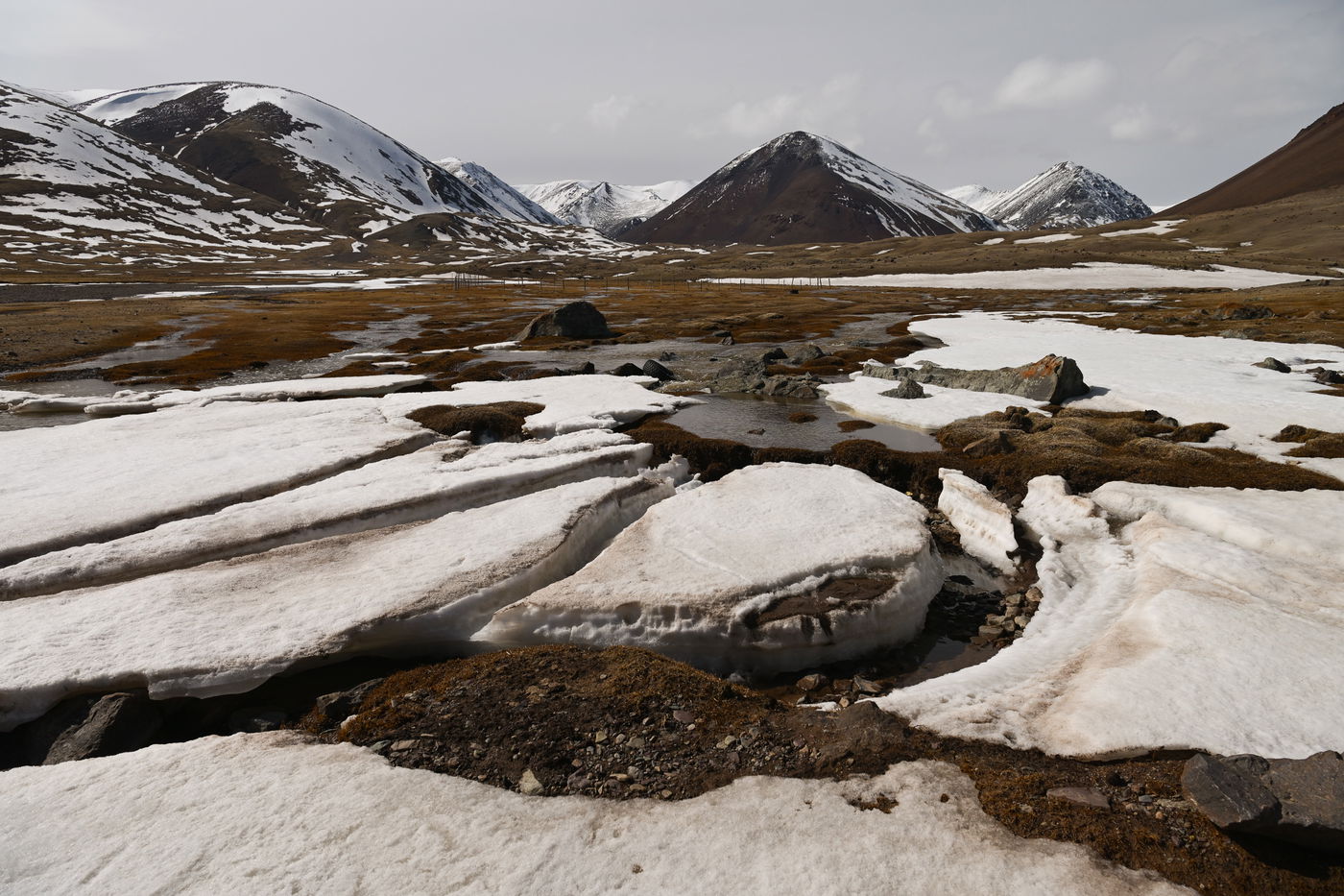 מסע נדיר למונגוליה