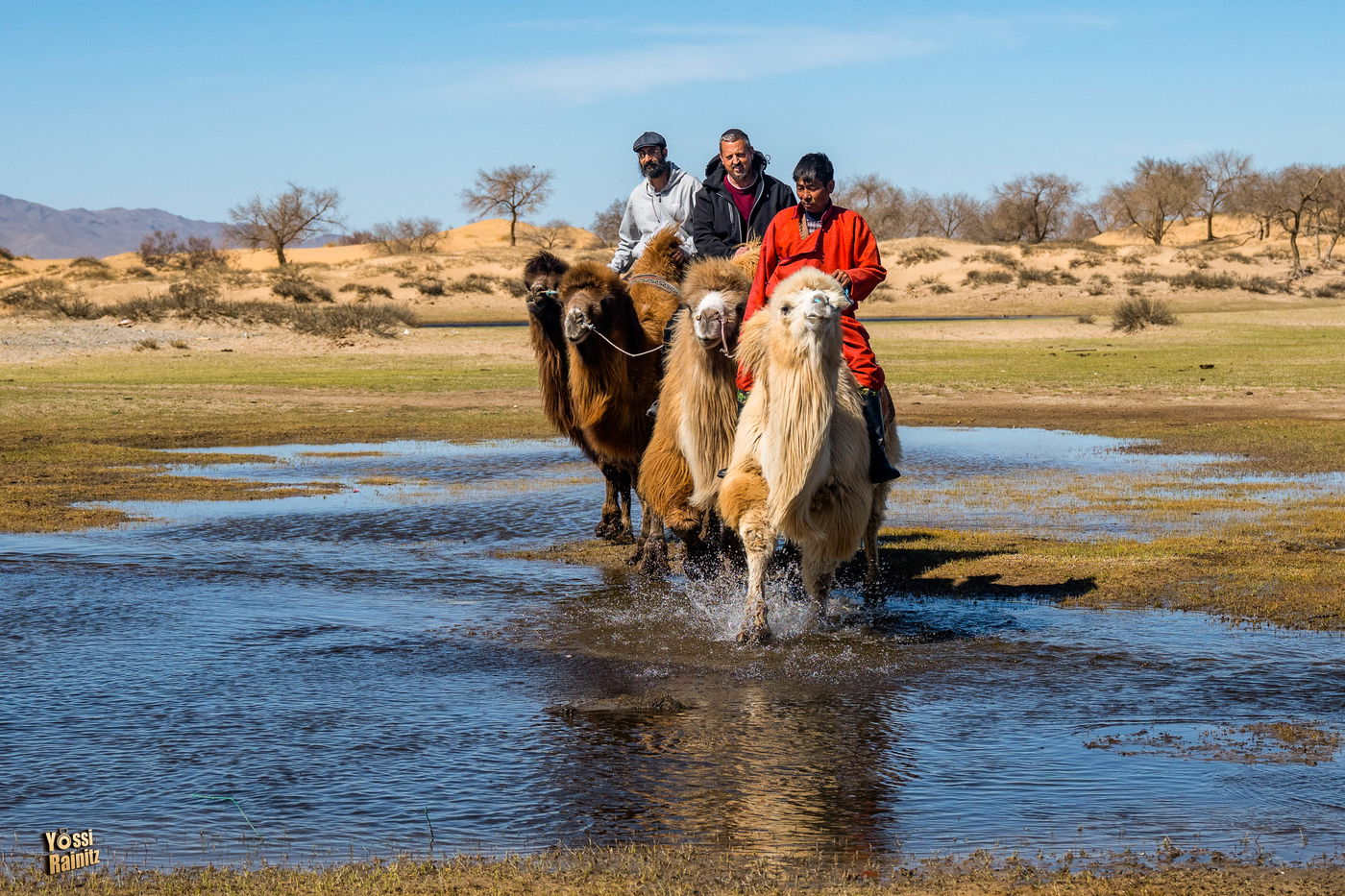 מסע נדיר למונגוליה