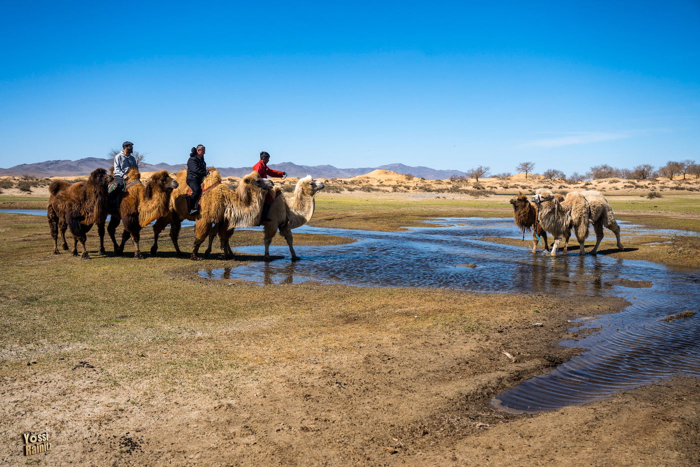 מסע נדיר למונגוליה