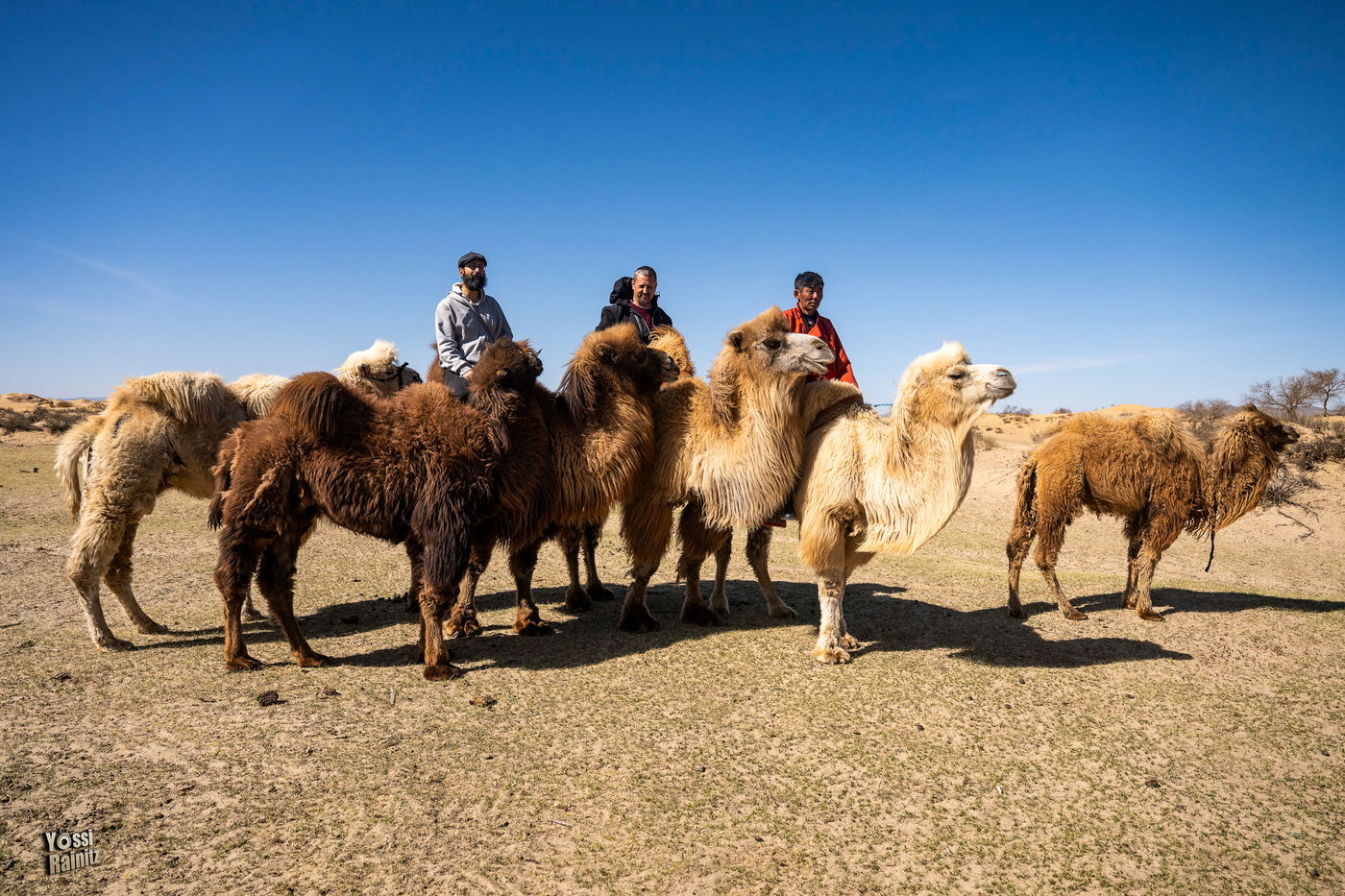 מסע נדיר למונגוליה