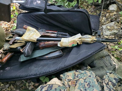 חיזבאללה יתפרק מנשקו? 