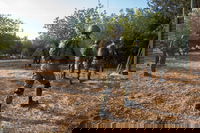 תיעוד מהתרגיל