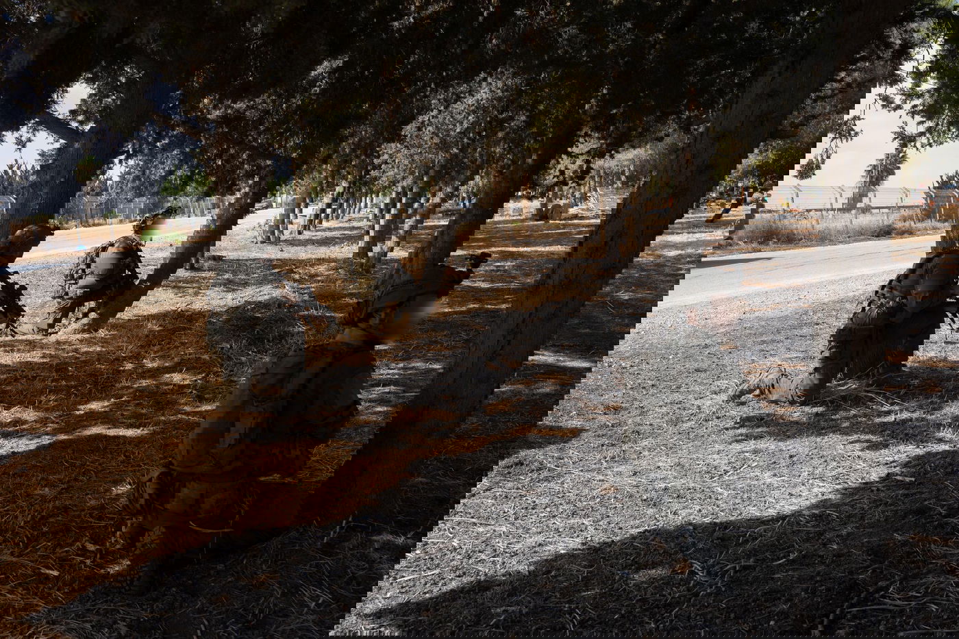 תיעוד מהתרגיל 