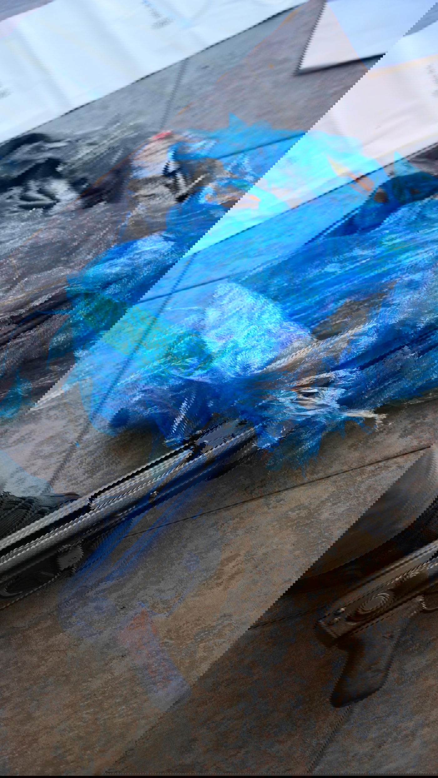 מעצר דרמטי בירכא