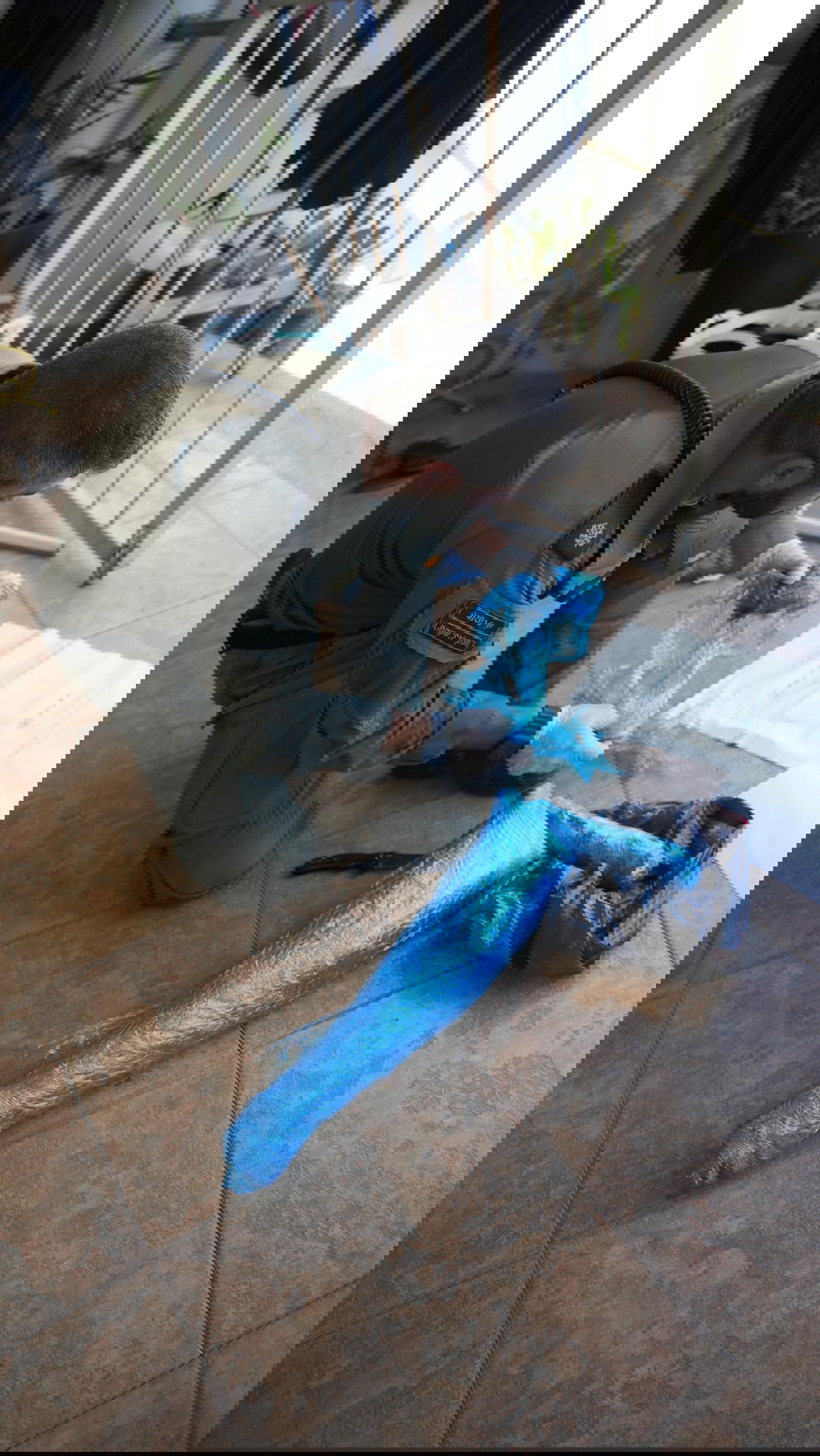 מעצר דרמטי בירכא