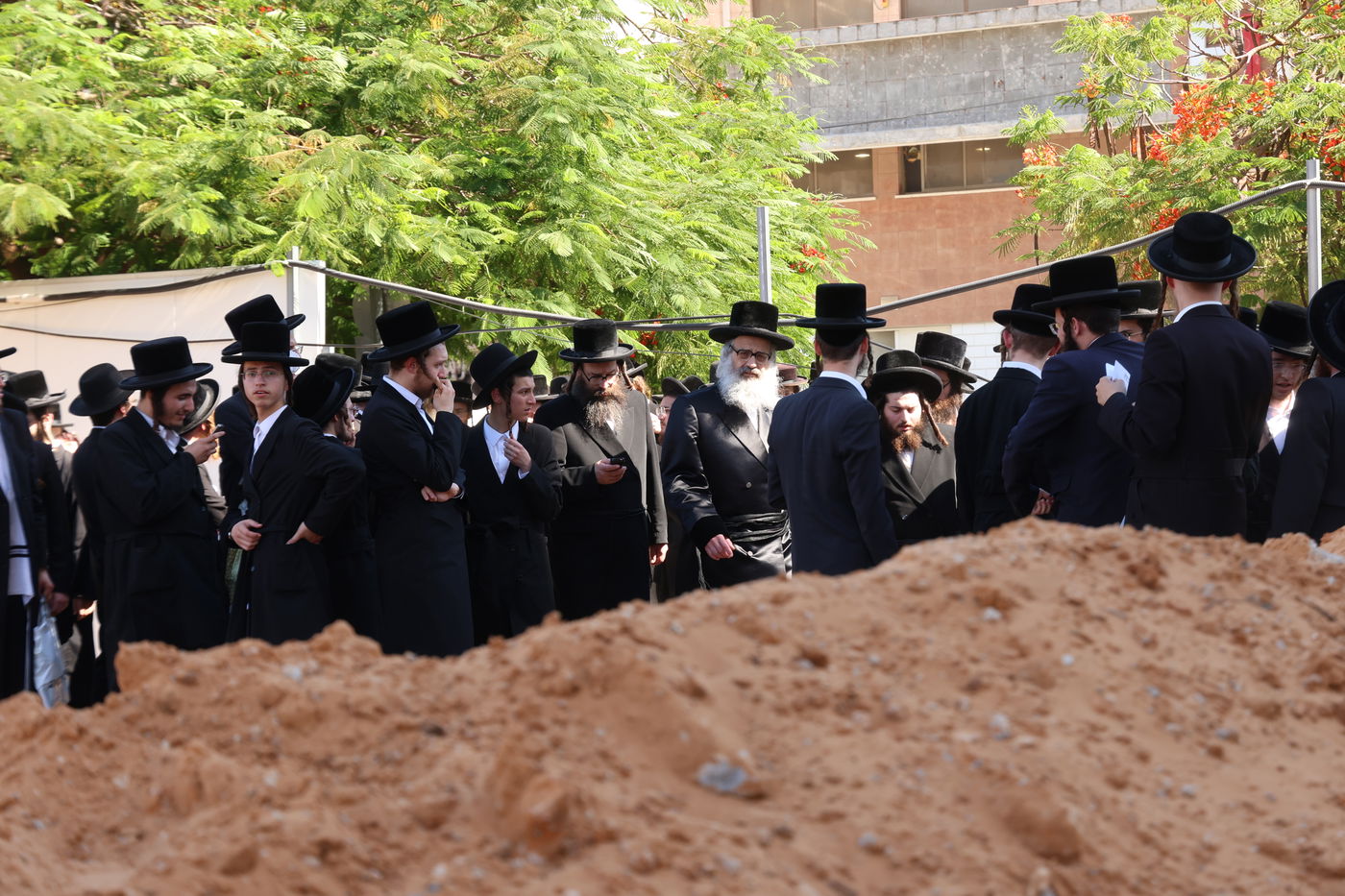 האדמו"ר מויז'ניץ בית שמש 