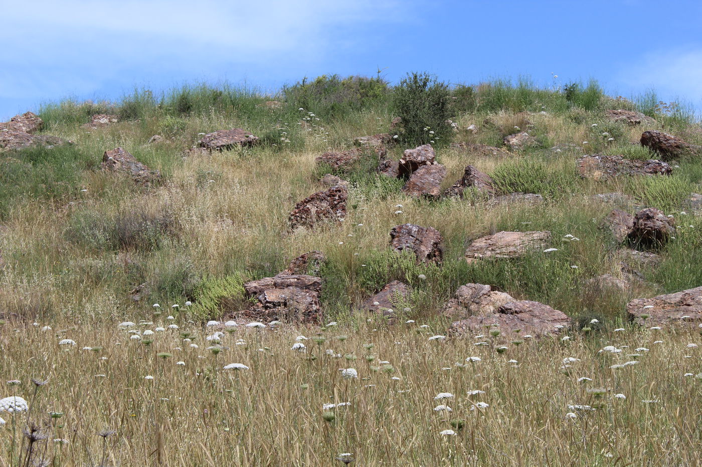 תצפית כרמים ואבני אלגביש