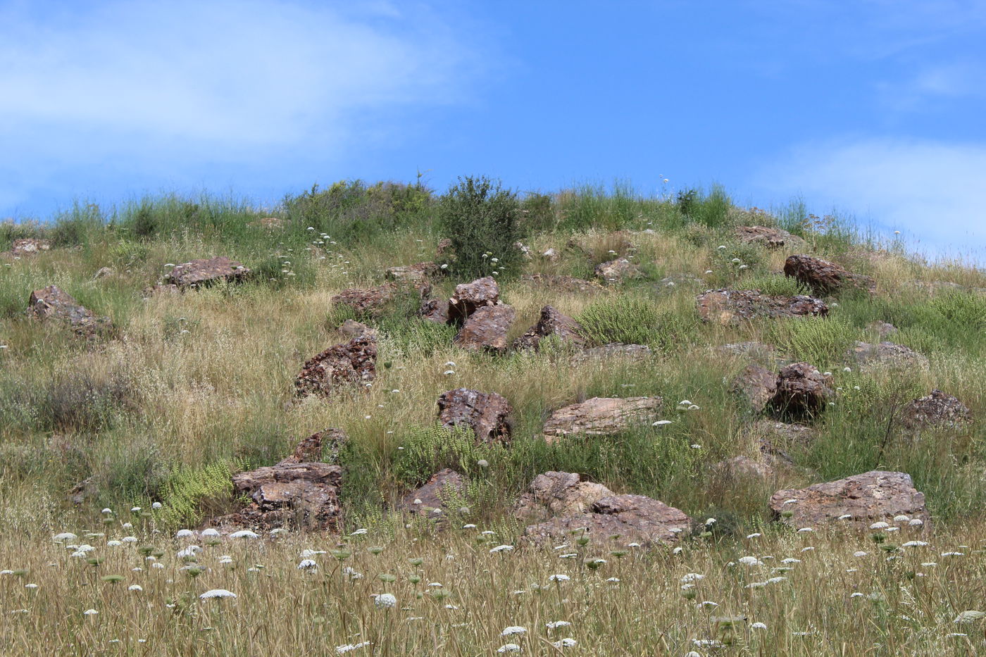 תצפית כרמים ואבני אלגביש