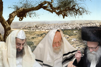 אילוסטרציה