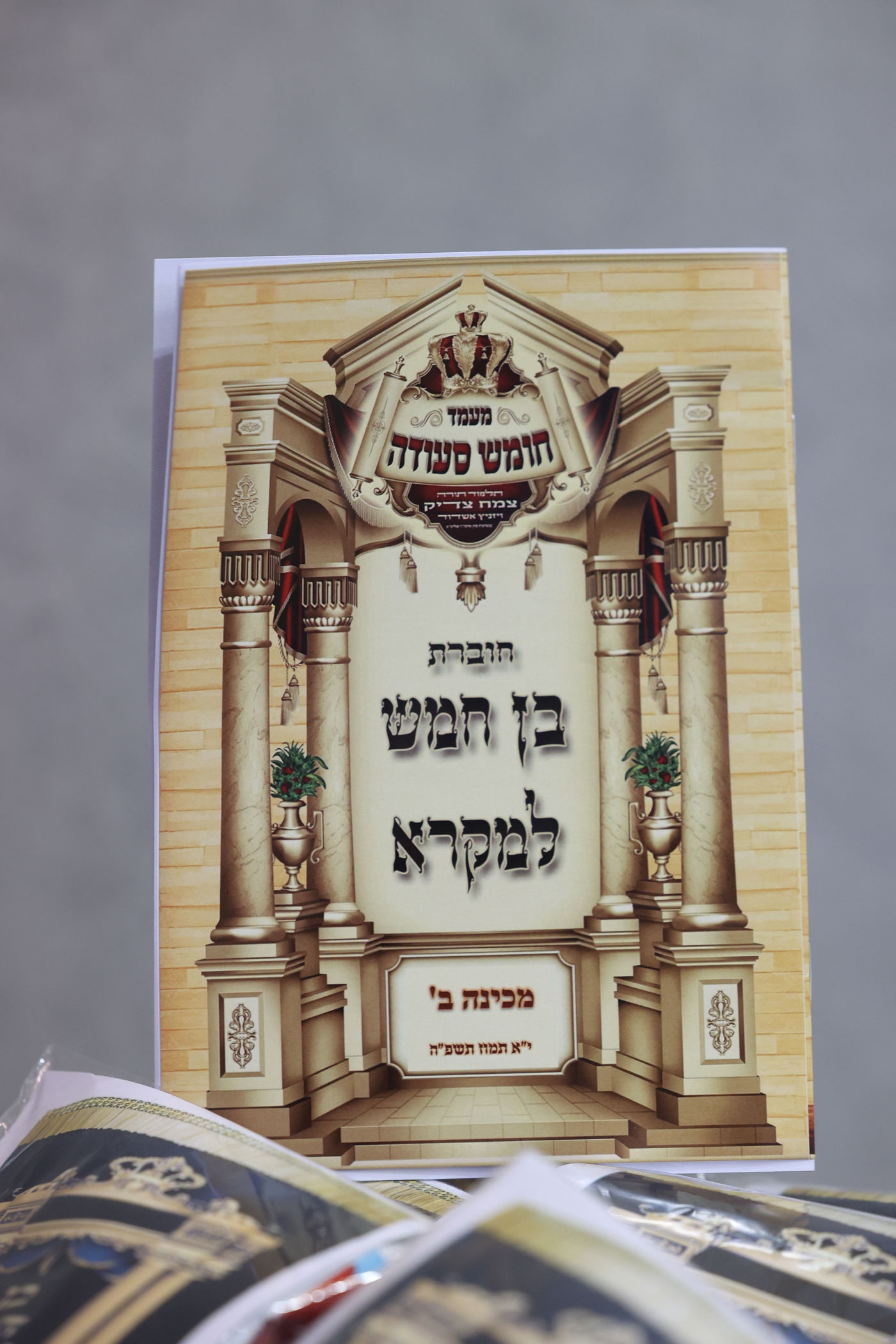 מסיבת חומש בת"ת ויז'ניץ אשדוד