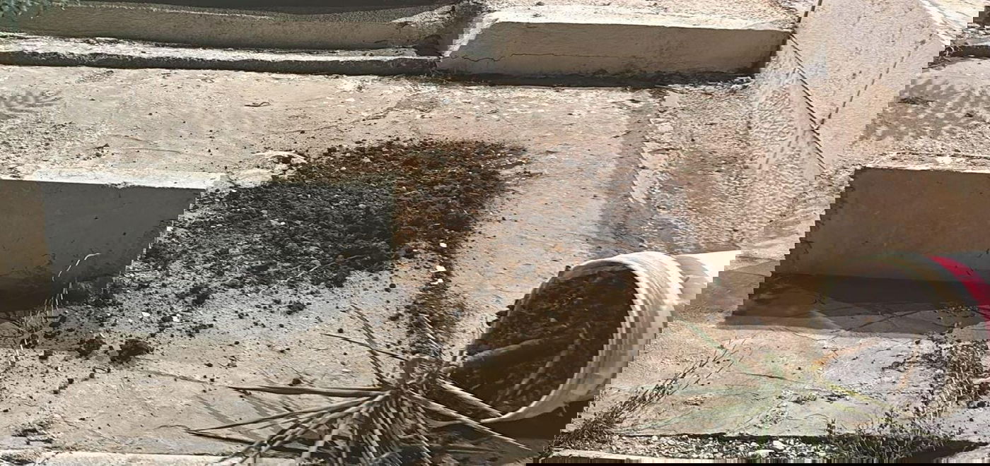 קברים הושחתו