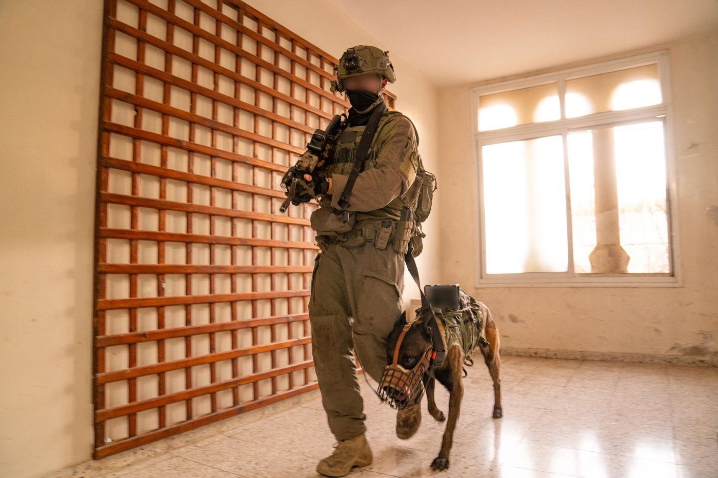 פעילות הכוחות למיפוי בתי המחבלים