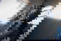 אילוסטרציה