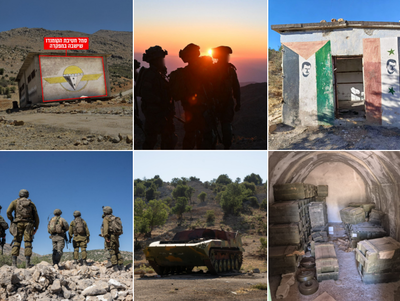 הממצאים שהתגלו