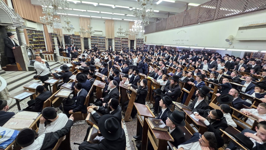 כולל חזון איש