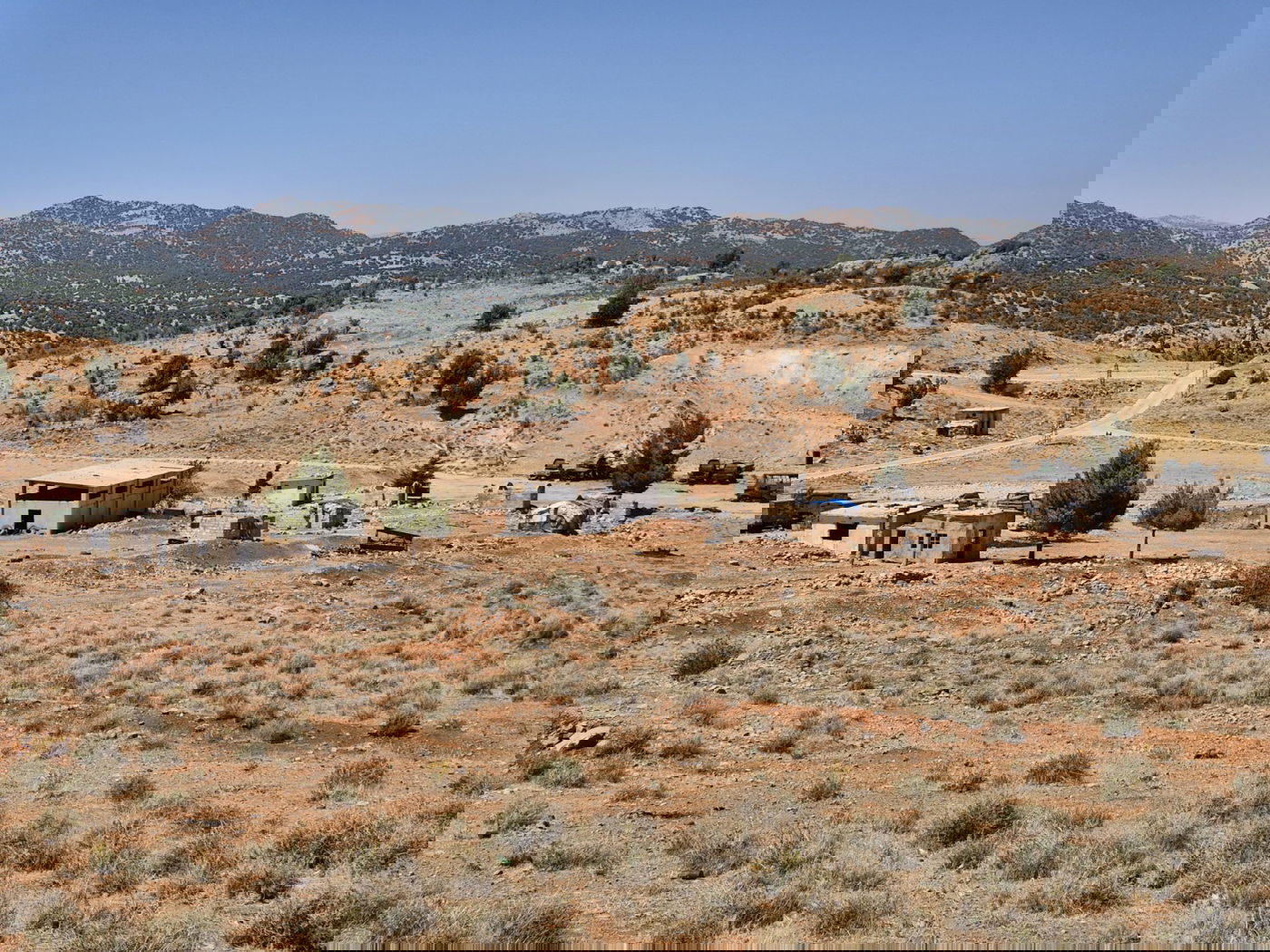 מוצבים של המשטר הסורי הישן שנסרקו