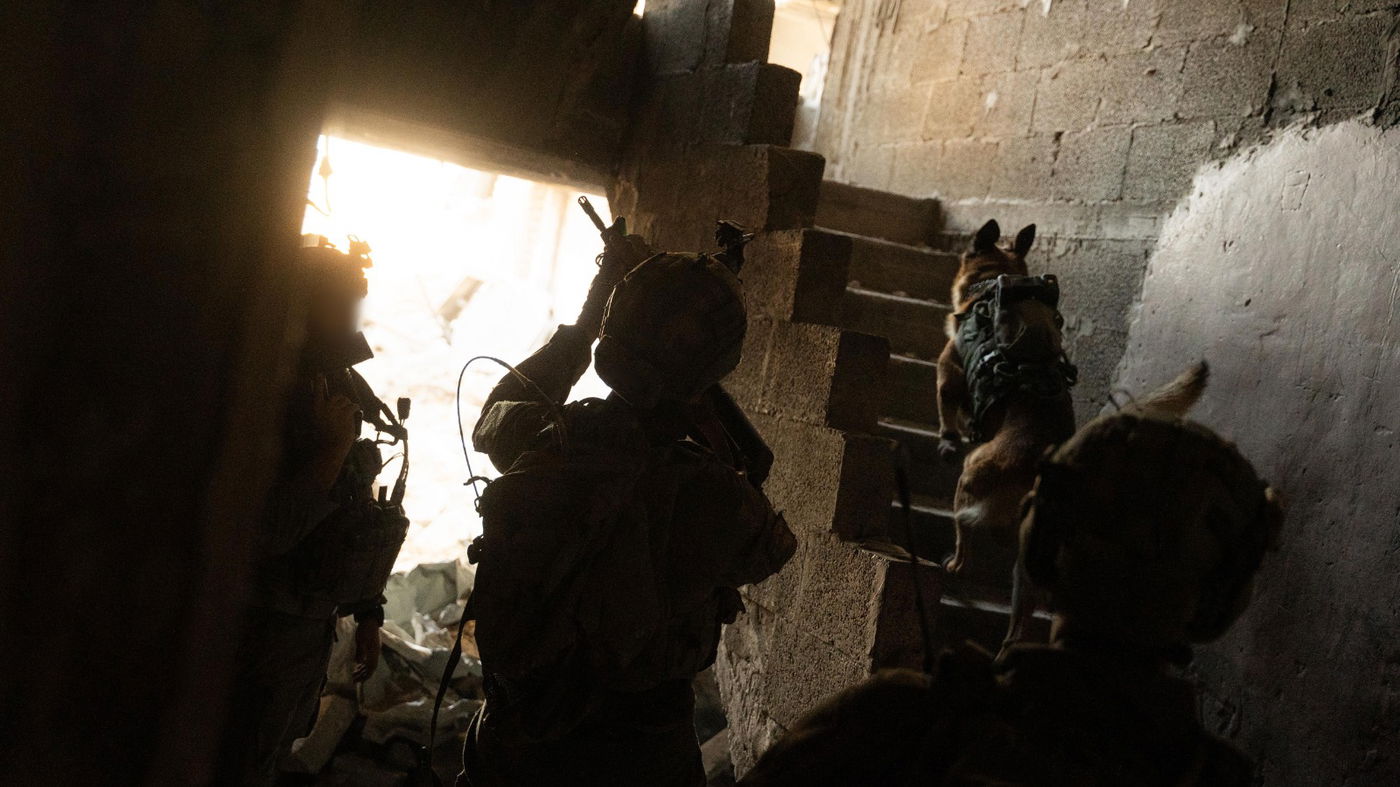 פעילות צה"ל בעזה