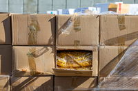 סיוע הומניטרי לעזה