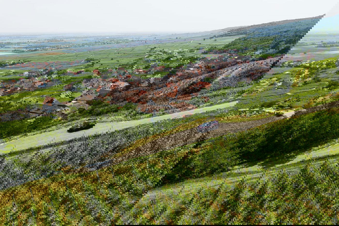 הבוגאטי במסלול