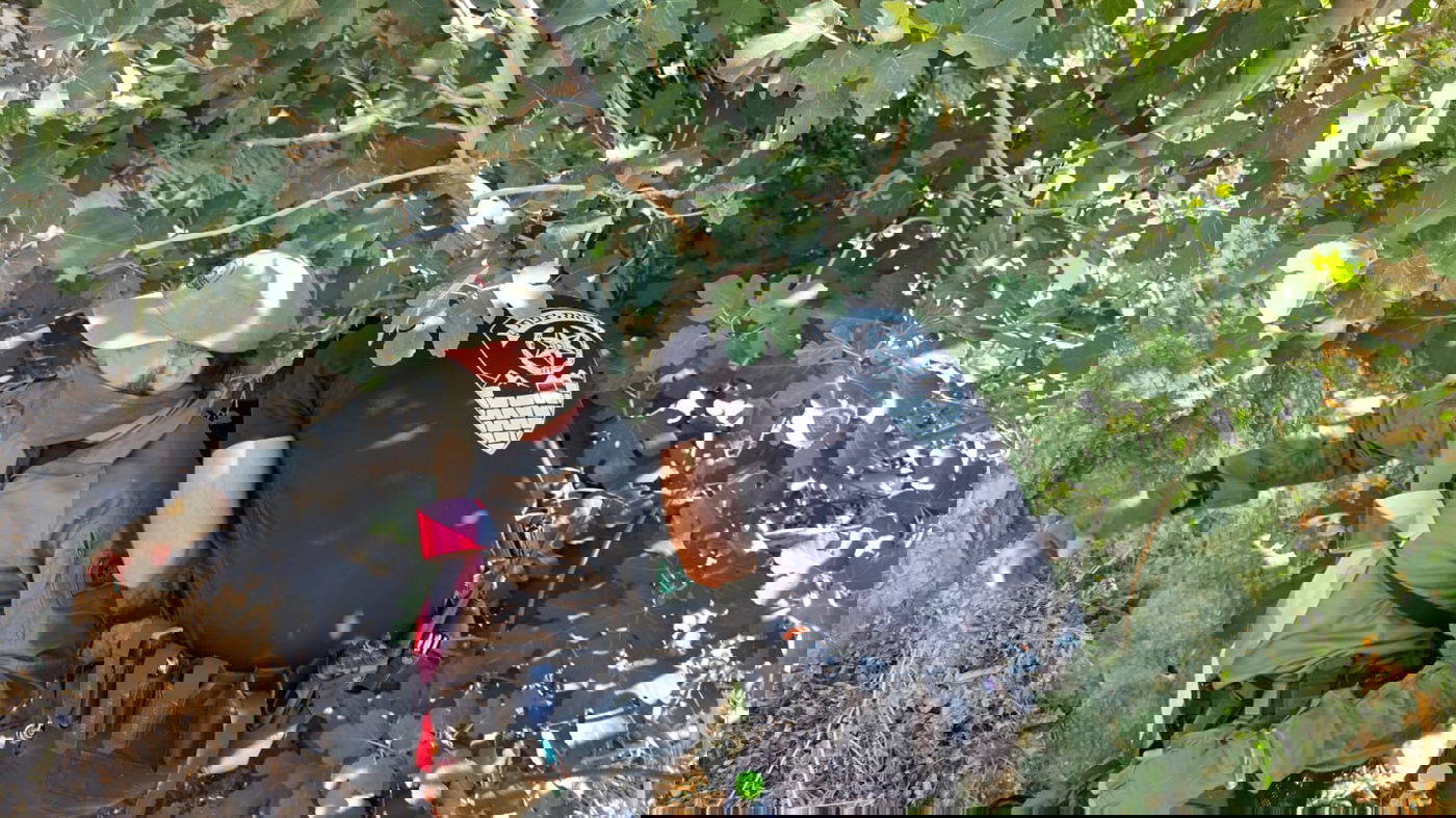 החיפושים באזור מירון