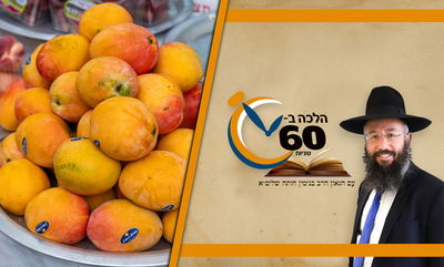 מתי מותר לברך ועל מה? דיני ברכת 'שהחיינו' בימי בין המצרים • צפו 