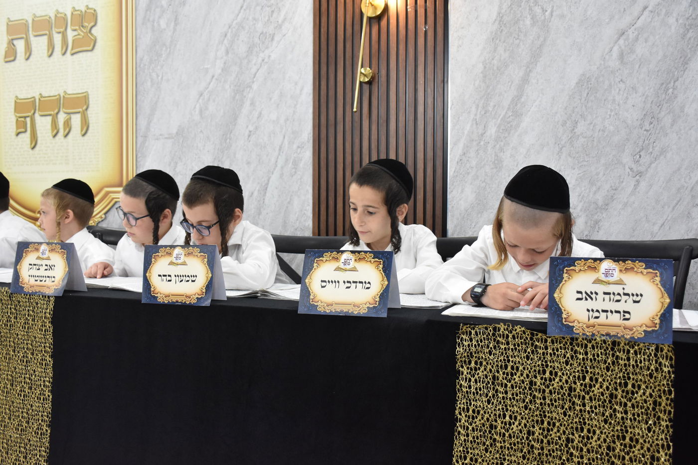 מבחן סיכה בת"ת 'חתם סופר'