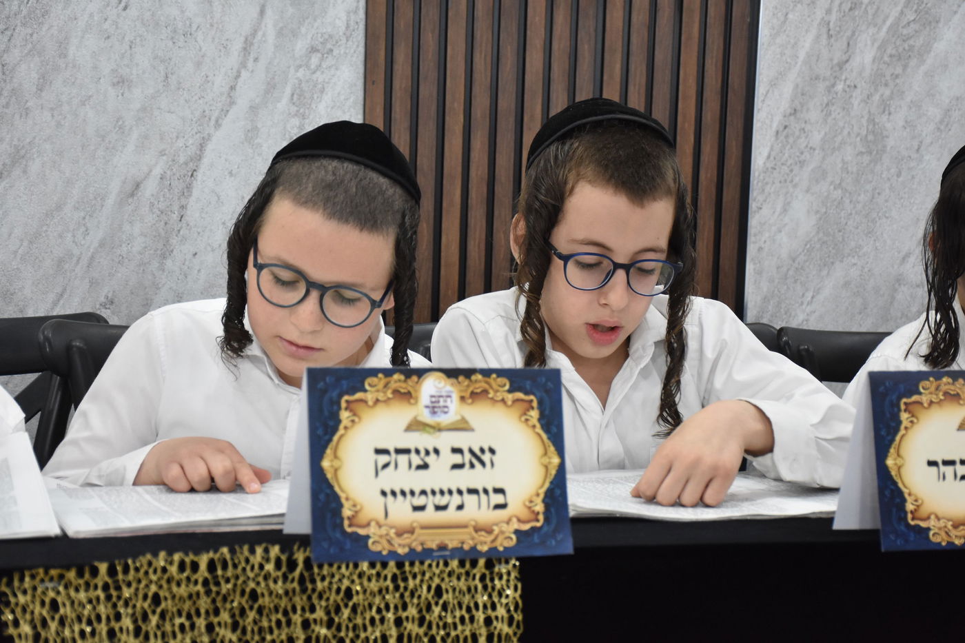 מבחן סיכה בת"ת 'חתם סופר'