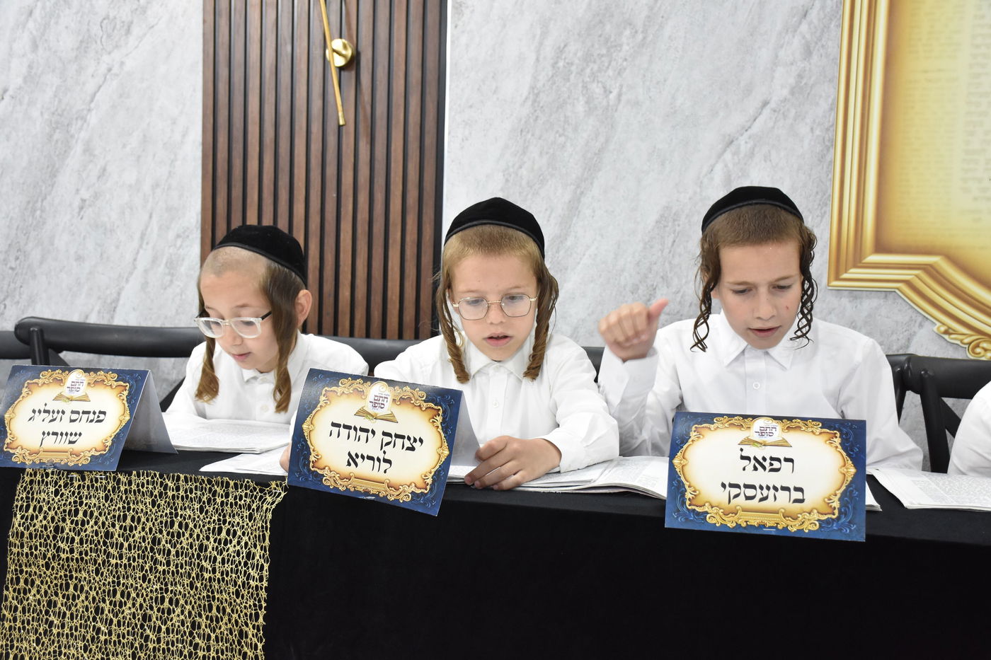 מבחן סיכה בת"ת 'חתם סופר'