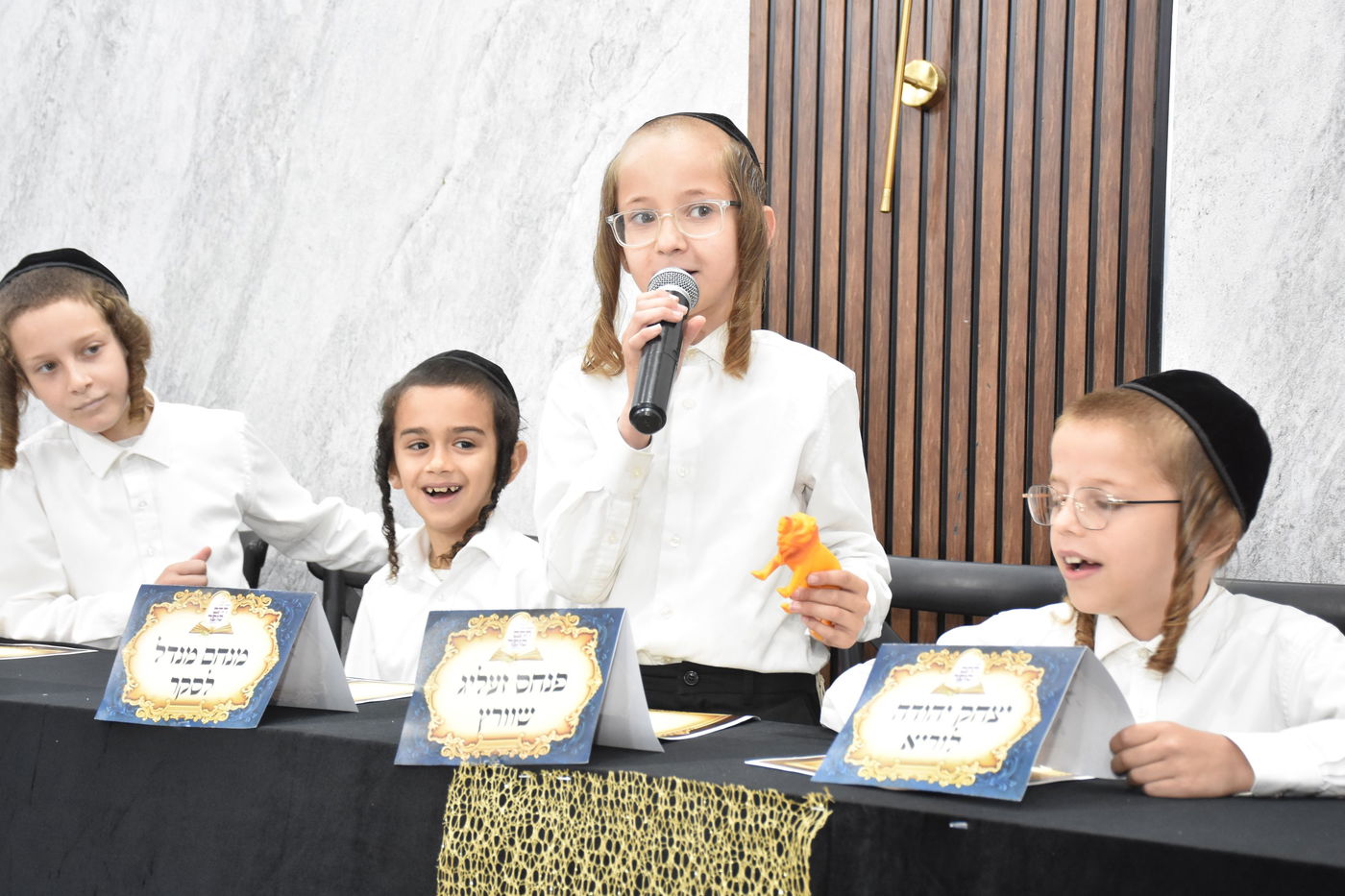 מבחן סיכה בת"ת 'חתם סופר'