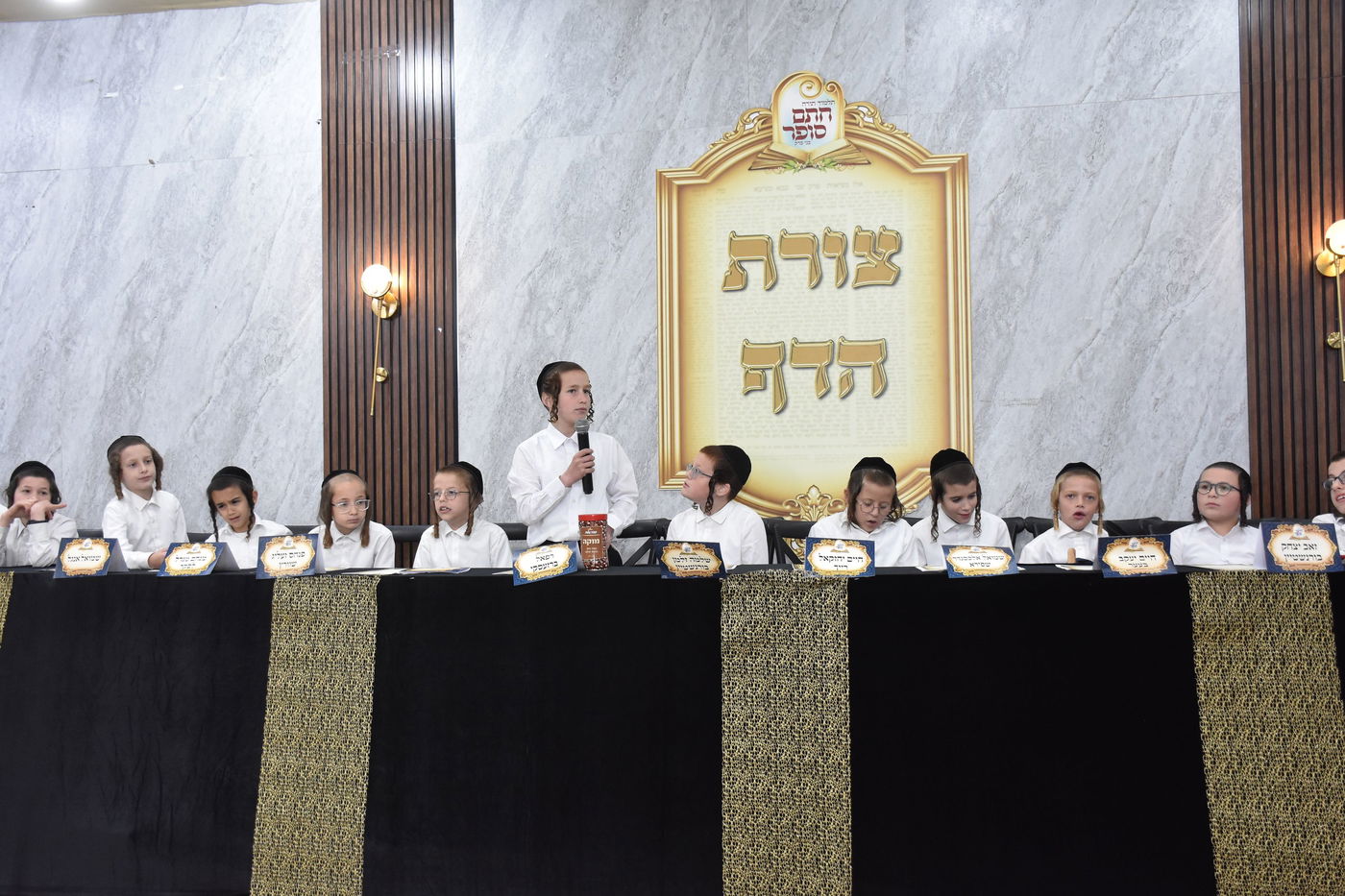 מבחן סיכה בת"ת 'חתם סופר'