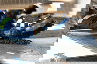 סיטואציה מתסכלת: להיתקע בצד הדרך עם הרכב