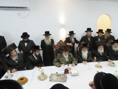 שמחת הווארט לנכדת האדמו"ר מויז'ניץ 