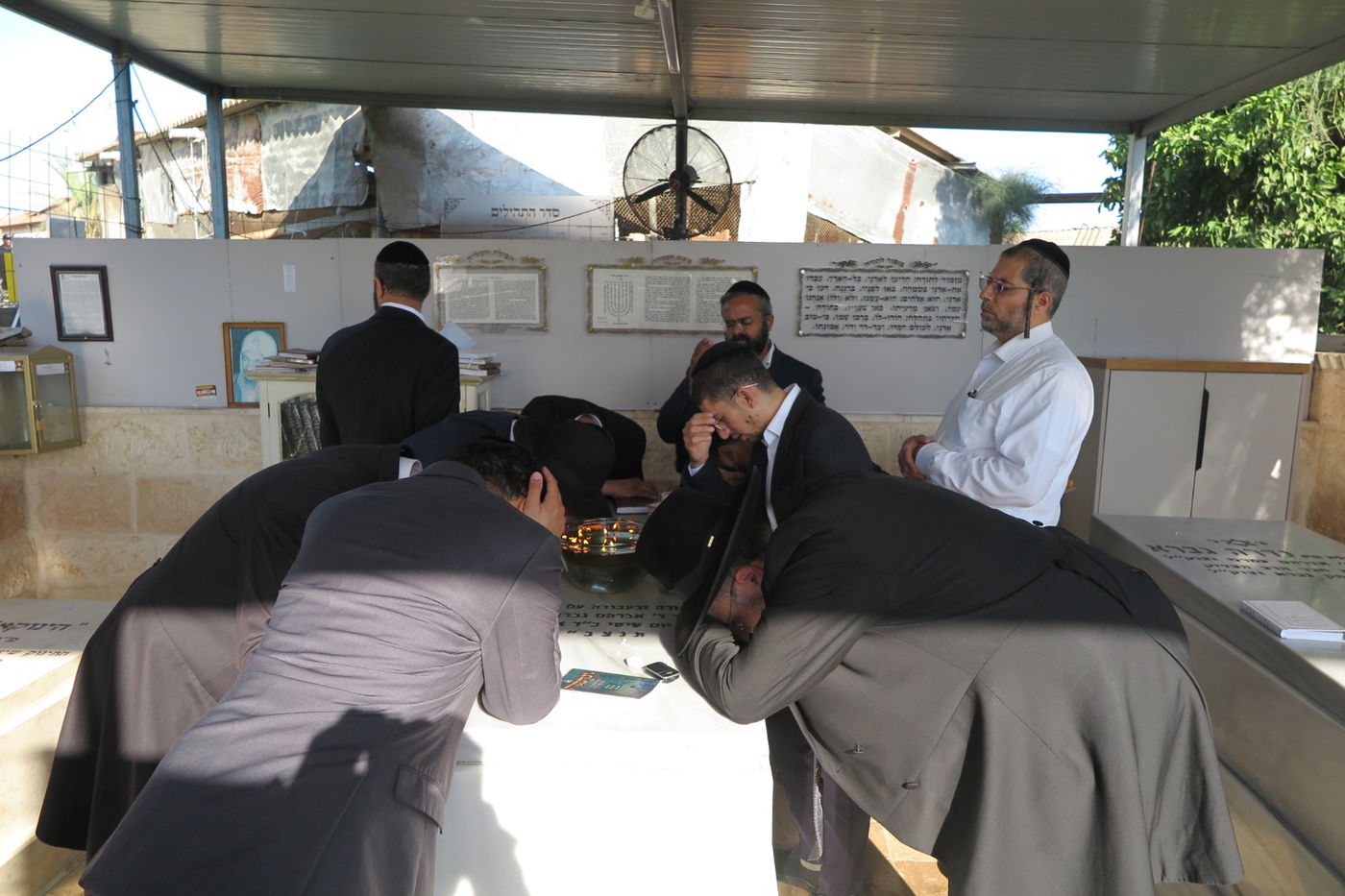 הילולת הצדיק מעג'ור