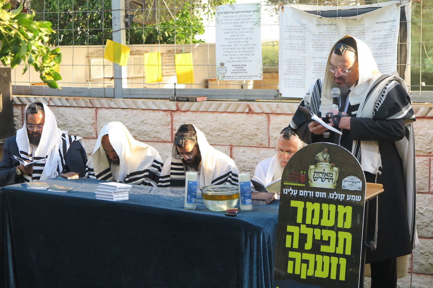 הילולת הצדיק מעג'ור