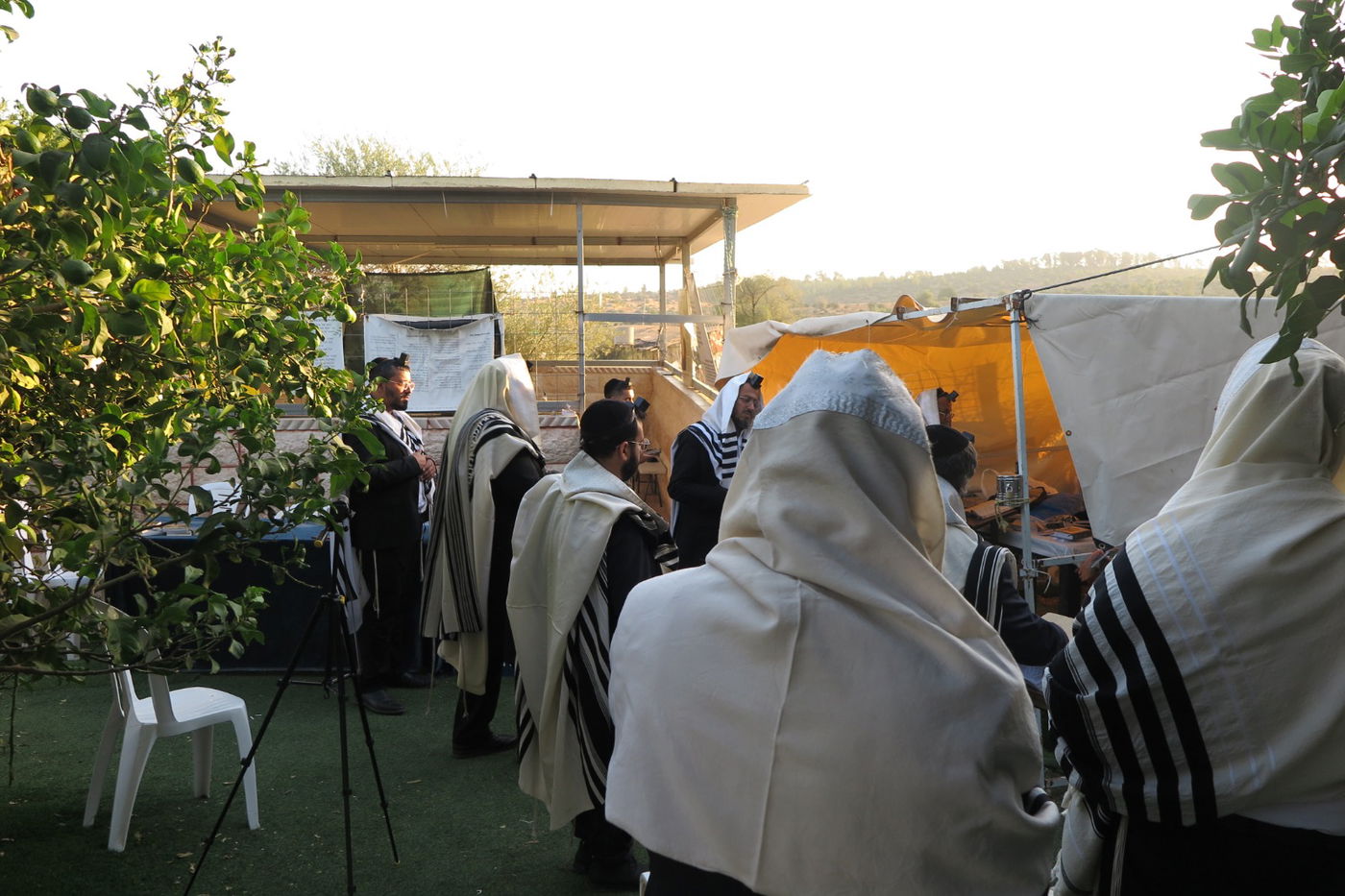 הילולת הצדיק מעג'ור