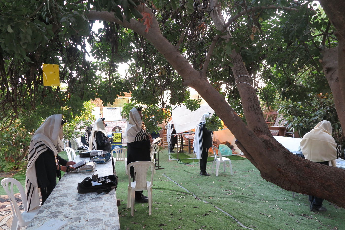 הילולת הצדיק מעג'ור