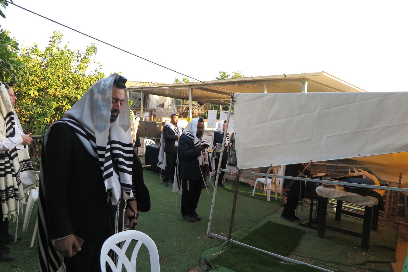 הילולת הצדיק מעג'ור