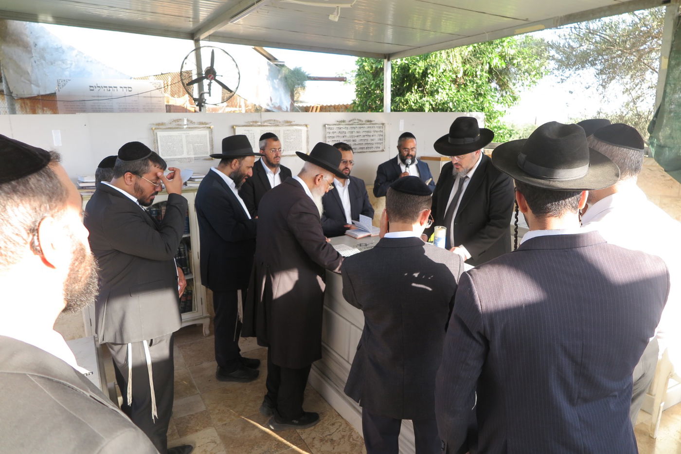 הילולת הצדיק מעג'ור