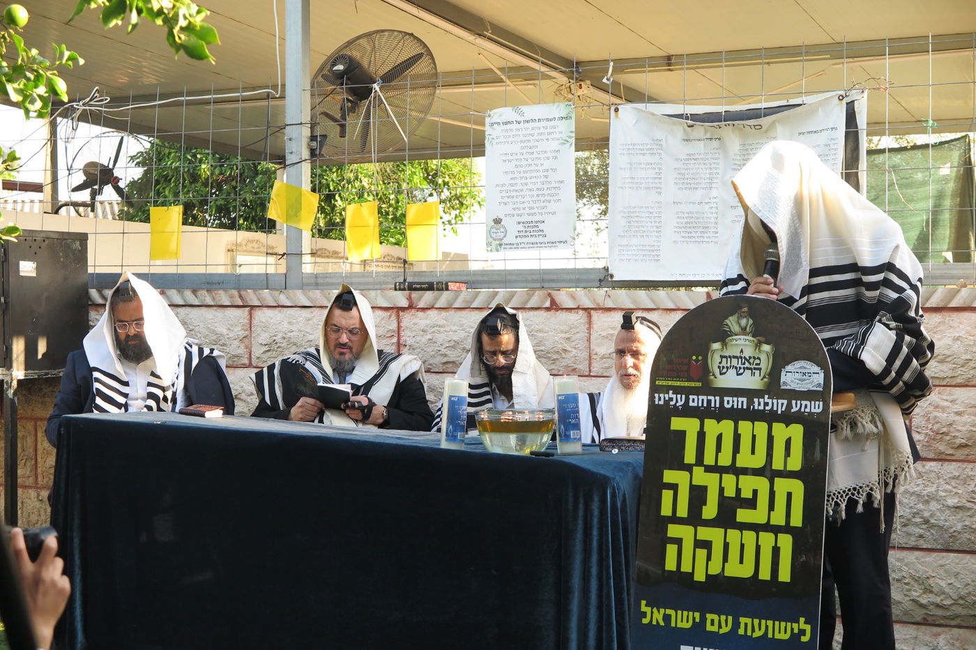 הילולת הצדיק מעג'ור