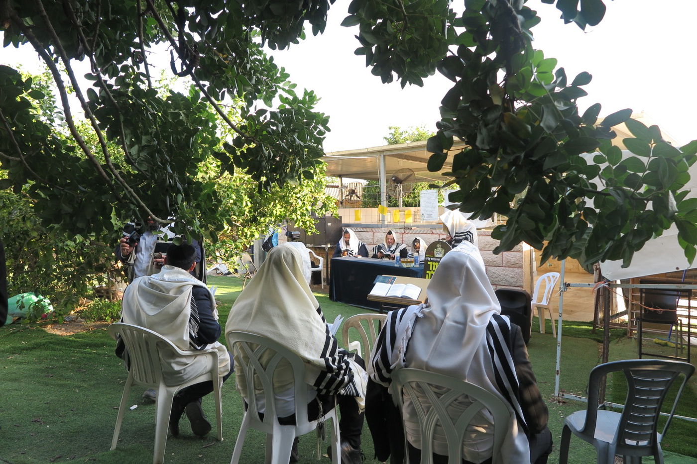 הילולת הצדיק מעג'ור