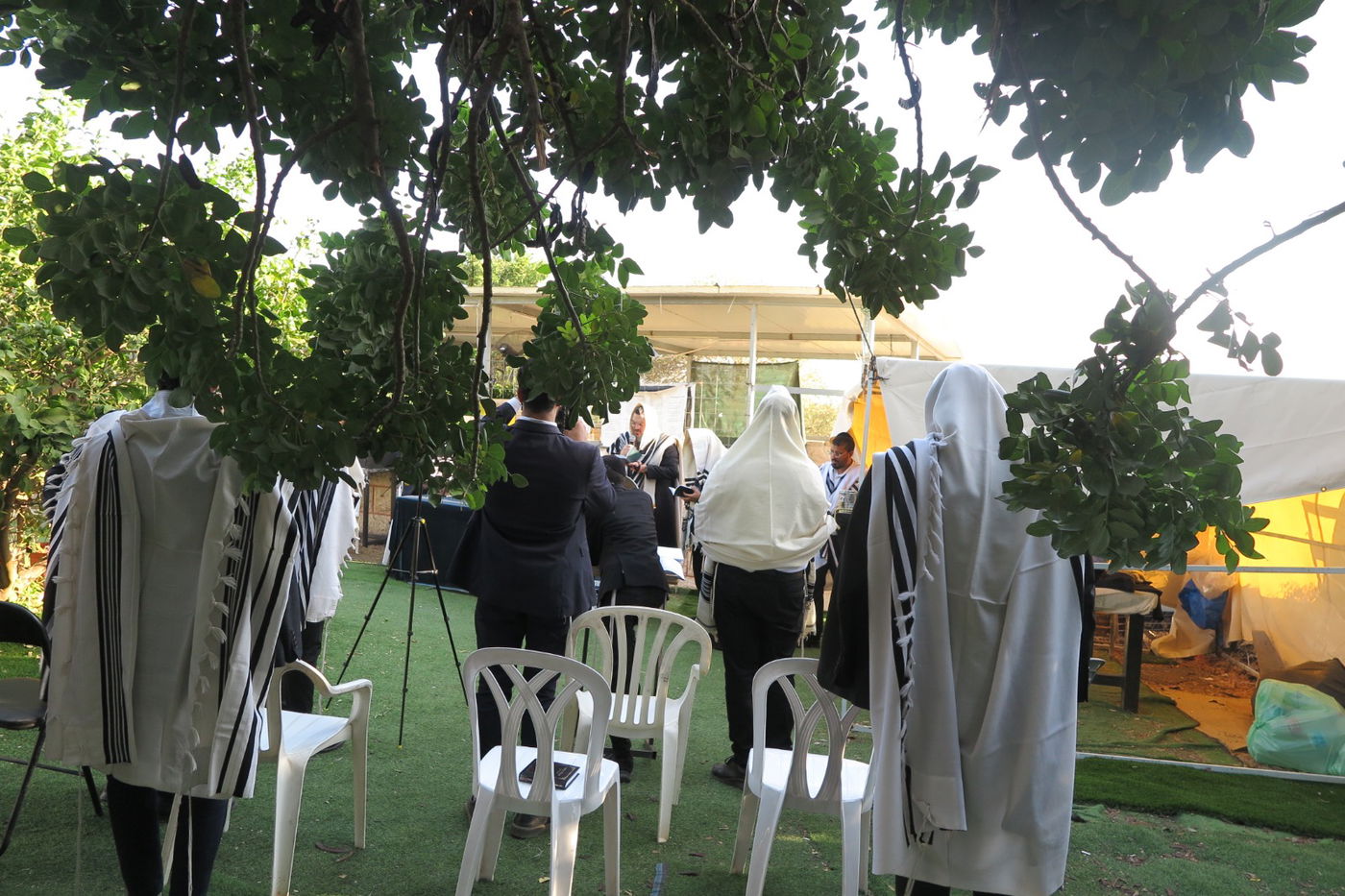 הילולת הצדיק מעג'ור