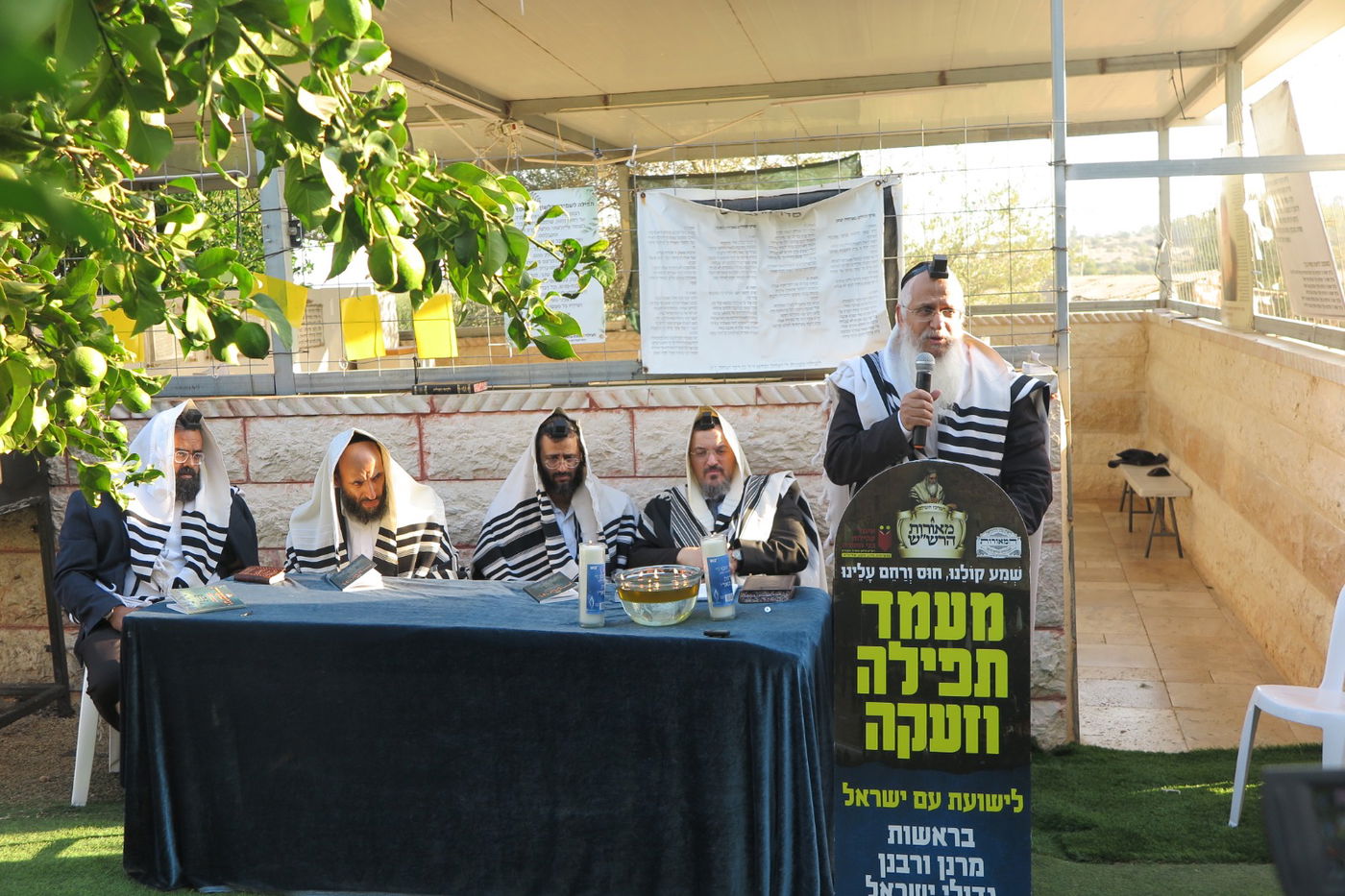 הילולת הצדיק מעג'ור