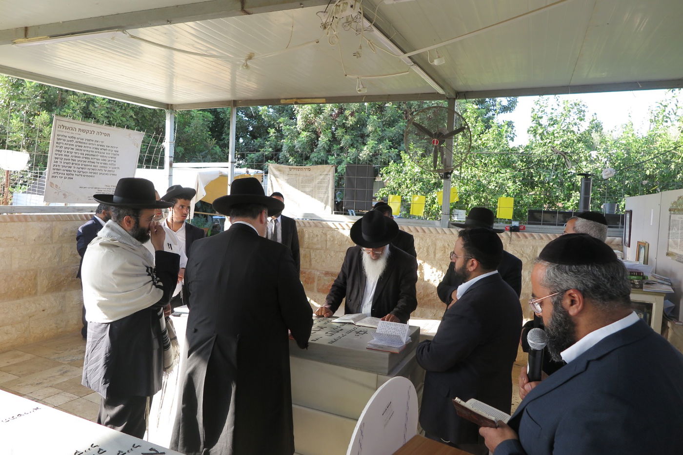 הילולת הצדיק מעג'ור