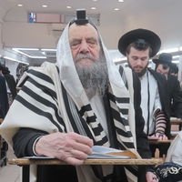 הסגולה המיוחדת שלימד מרן הגראי"ל שטיינמן את קרוביו